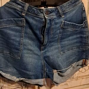 American Eagle Outfitters shorts size 16